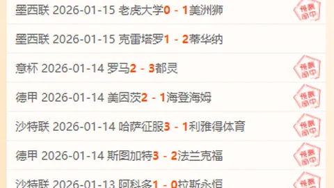 西北区赛事球队全面剖析